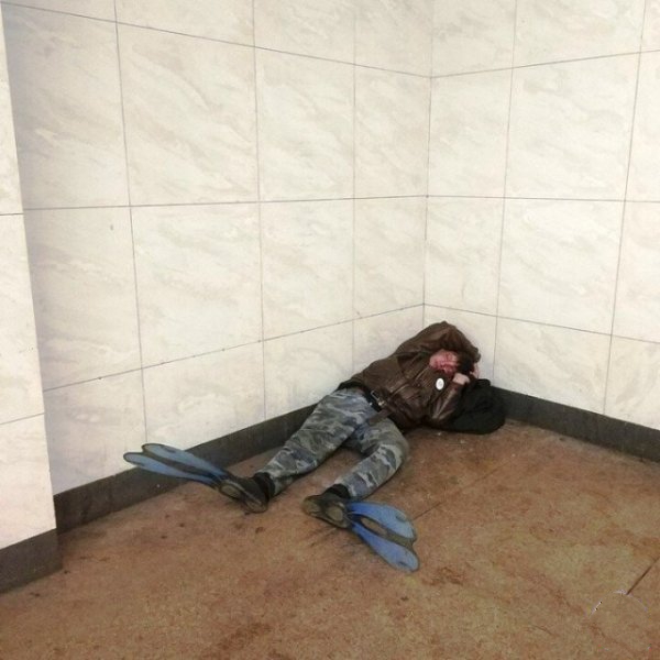 14176789.jpg