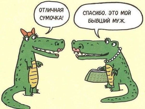 u158KN8BQGU.jpg