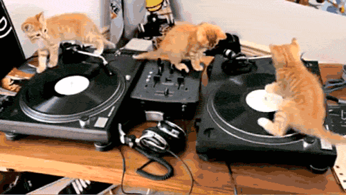 1321540881_1321216548_the-best-of-hell-24.gif