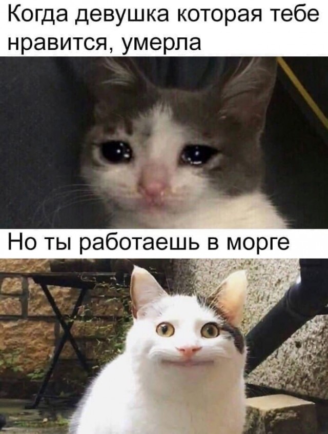 15836675.jpg