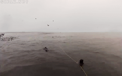 tumblr_mqccgyJq871s2yegdo1_400.gif
