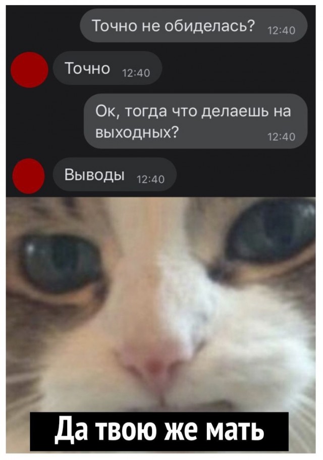 15802845.jpg