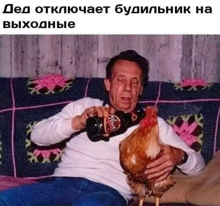 1644329937178956535.webp