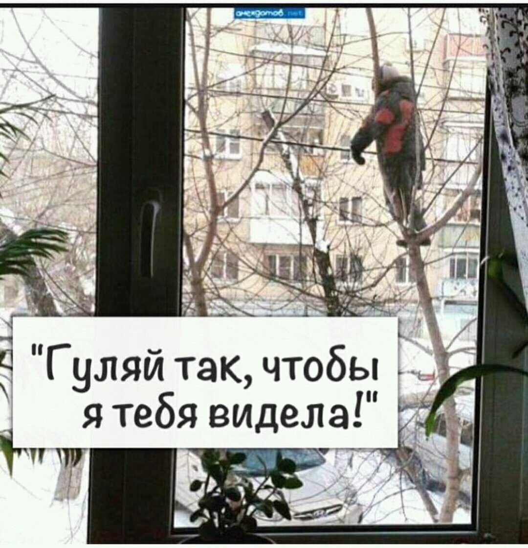 c86f86dc6184d217bb2a343b7aed87f8.jpeg