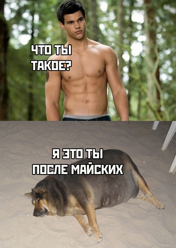 15516477.jpg