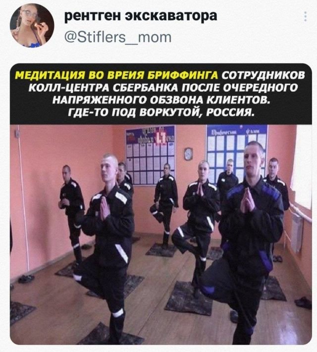 16362062.jpg