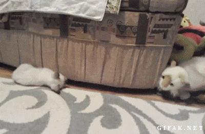 Deception.gif