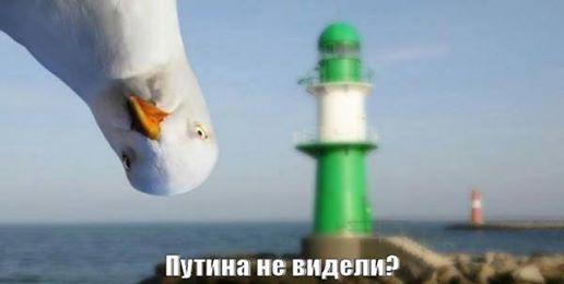 CAHjDBqUQAEUXNb.jpg:large