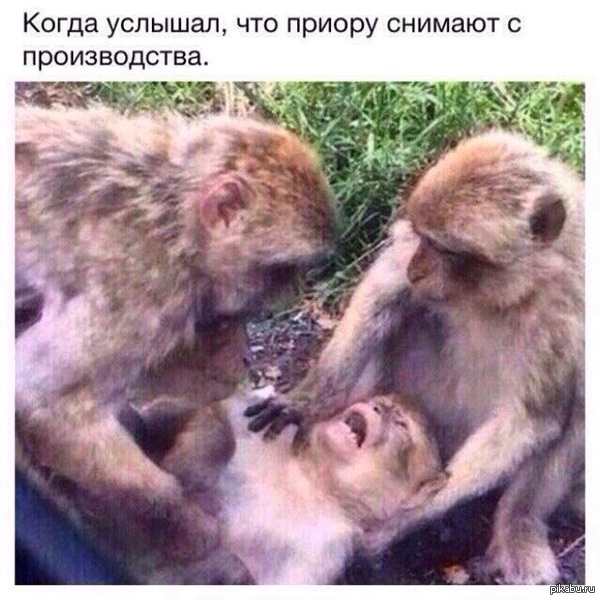 1433267340_896272055.jpg