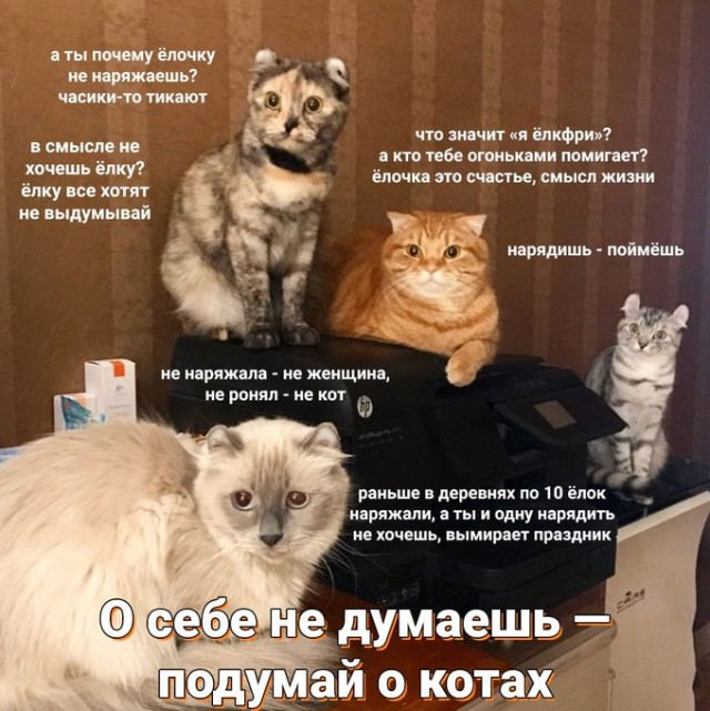 16234544.jpg