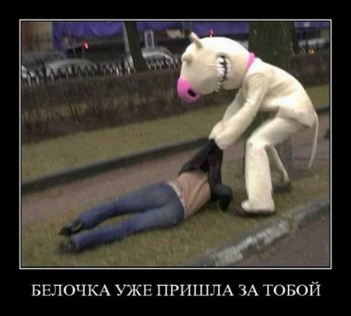 0a4905597ff6f27dc2894b834b213db7.jpg