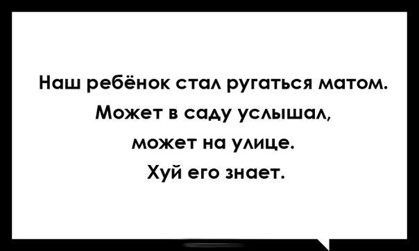 16481395.jpg