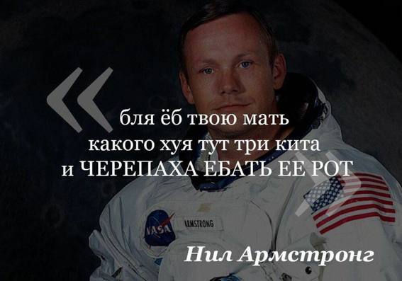 16406328.jpg