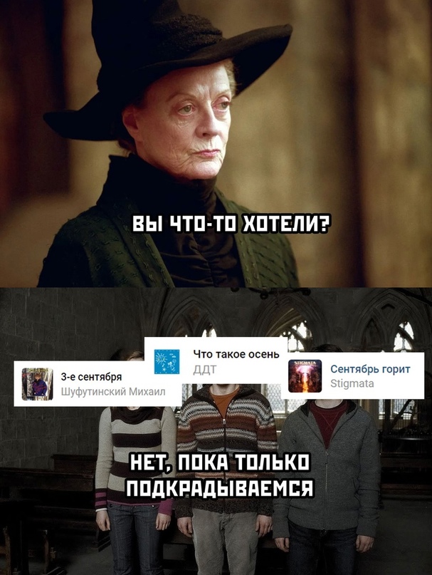 15873212.jpg