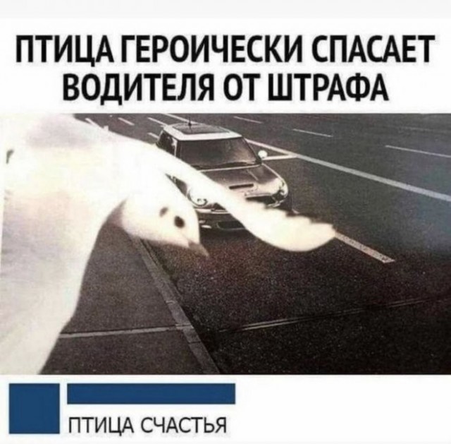 17958903.jpg
