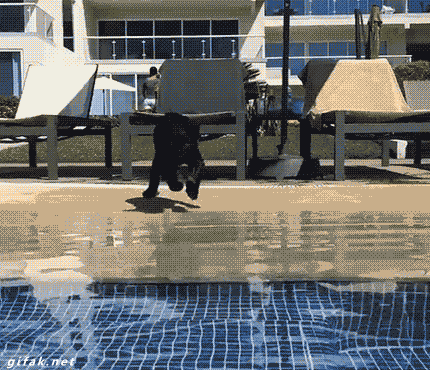 tumblr_nh4qcmSv6I1s2yegdo1_500.gif