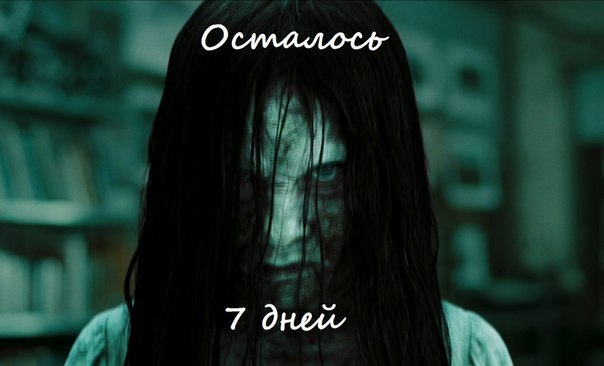 gv0cgh0eE6g.jpg