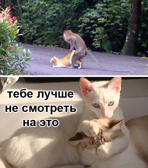 YGoltt5YXKI.jpg