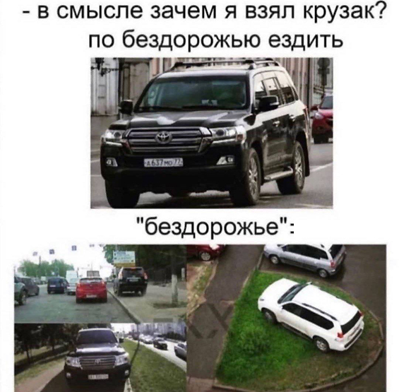 15597250.jpg