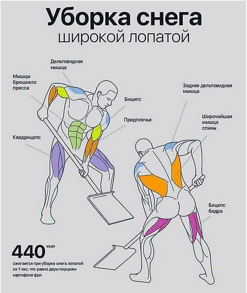 d5aeaf2f430a76bc3bab0d1b09f4e824.png