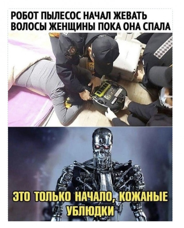 16026764.jpg