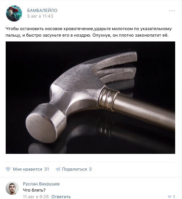 8441755.jpg