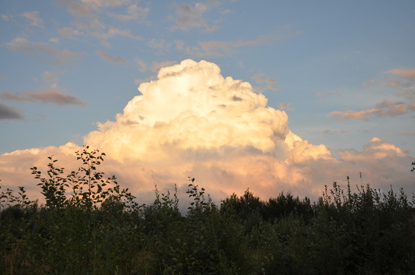 i-598.jpg
