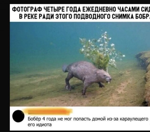 16412725.jpg