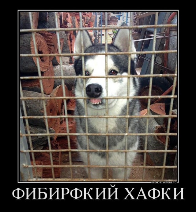 6069290.jpg
