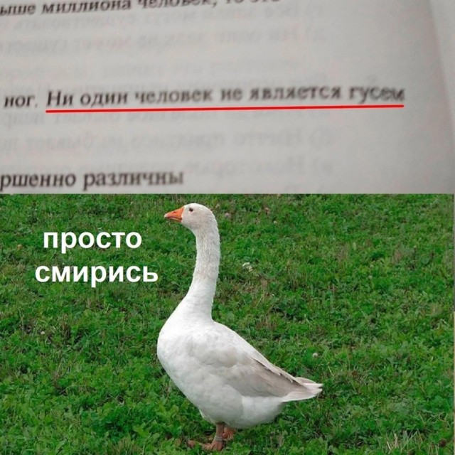 16087390.jpg