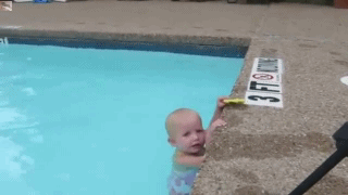 73642_original.gif