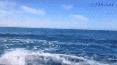 tumblr_n1jlnyjFP21s2yegdo1_400.gif