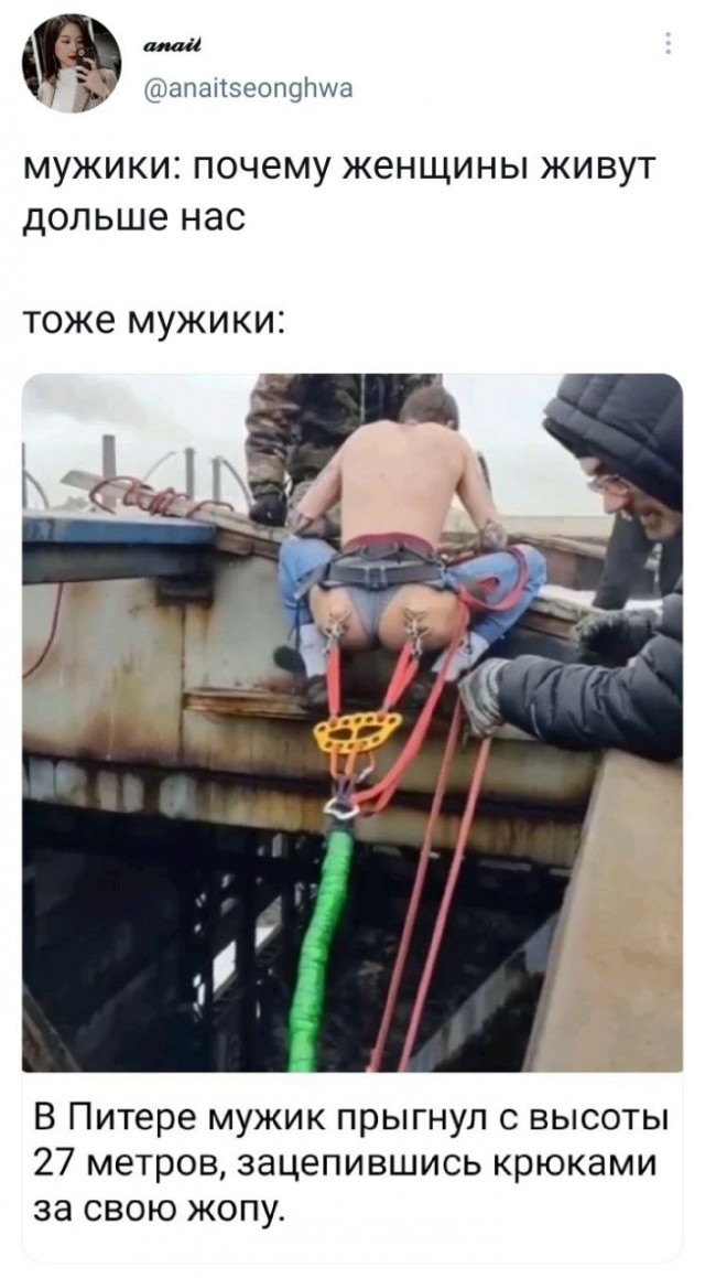 15376497.jpg