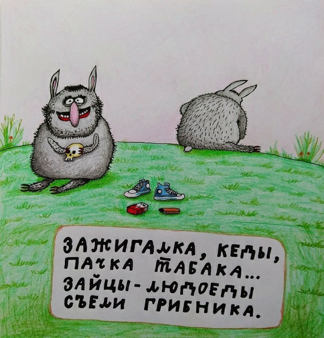 15795773.jpg