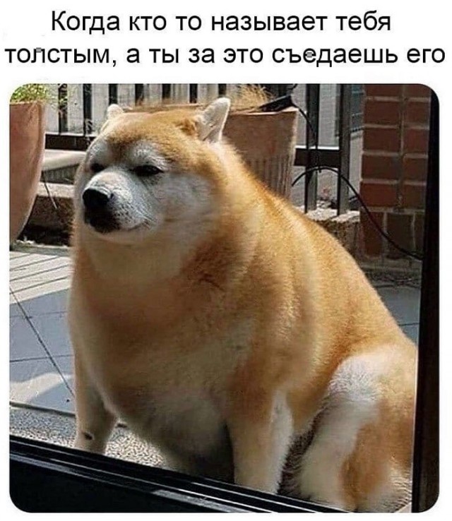 15461582.jpg