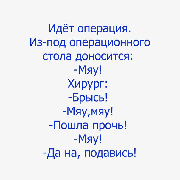 -Ne4zKh6mRc.jpg