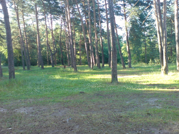 i-261.jpg