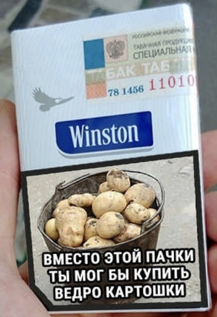 13696076.jpg