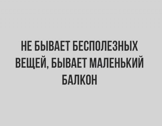 16066236.jpg