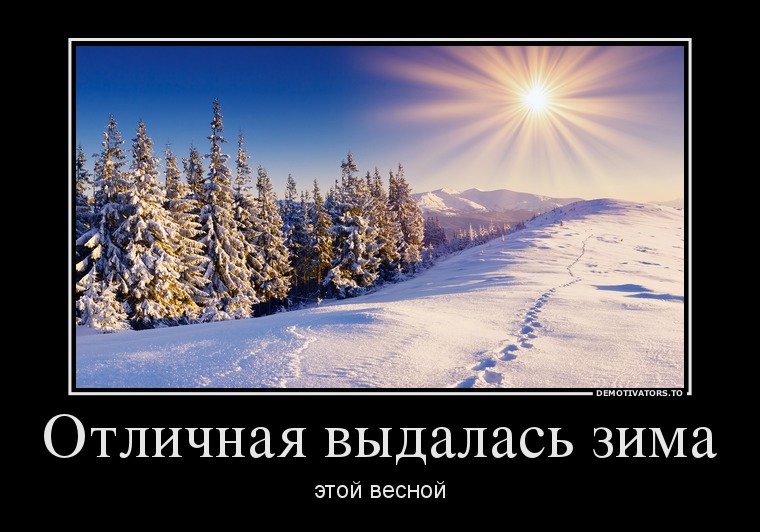 d9f5454a8b036a06548b20f0cf34bc638c740d5f.jpeg