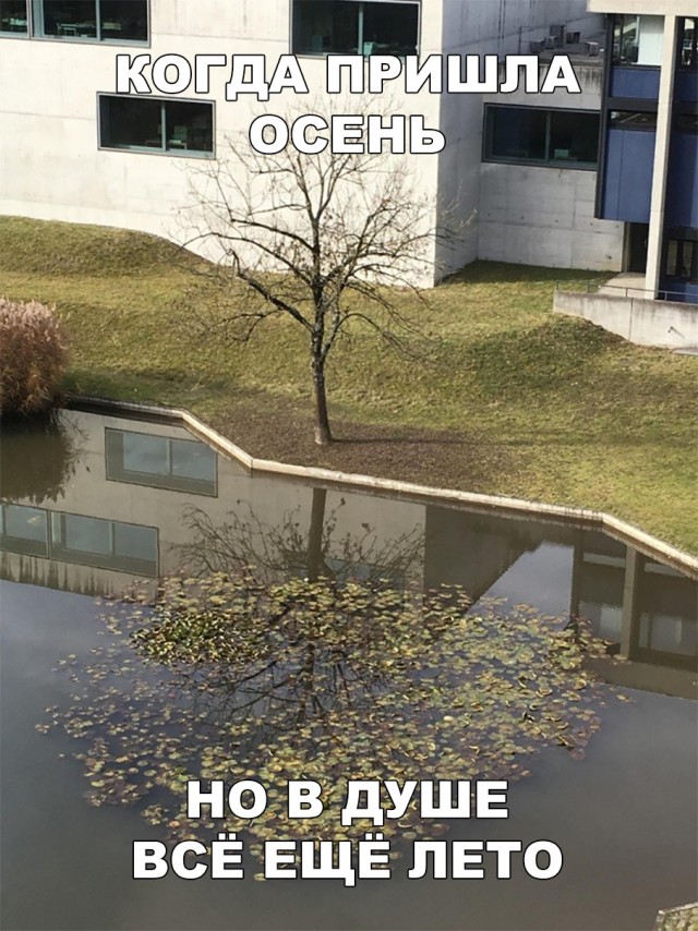 12108660.jpg