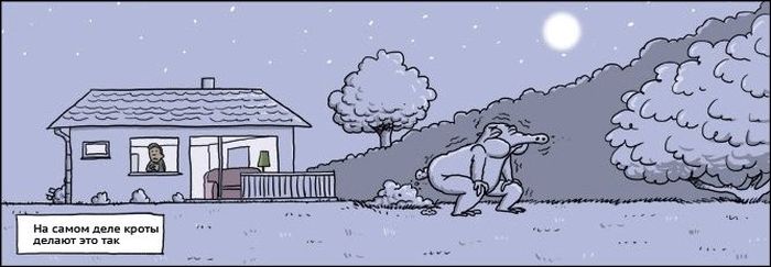 podborka_95.jpg