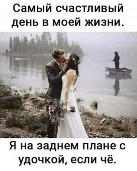 15425684.jpg