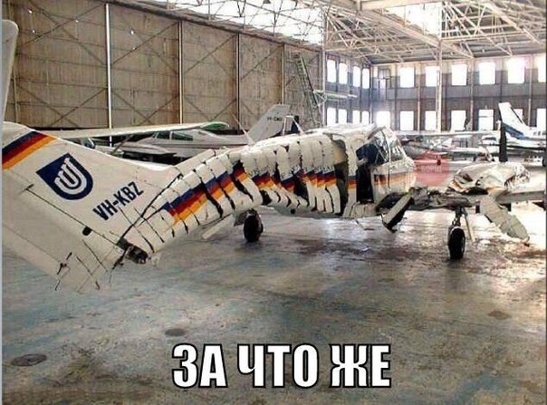 c3Jpp6eSCZs.jpg