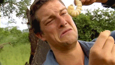 13097681364165.gif