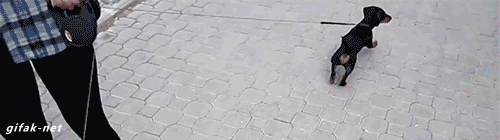 tumblr_nmou60v0wo1s2yegdo1_500.gif