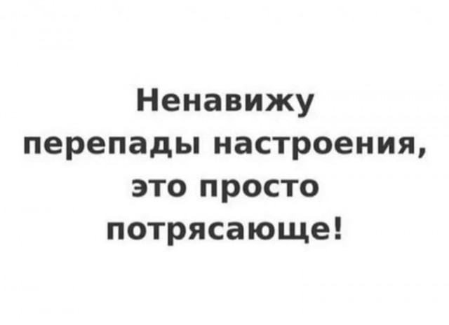 15942296.jpg