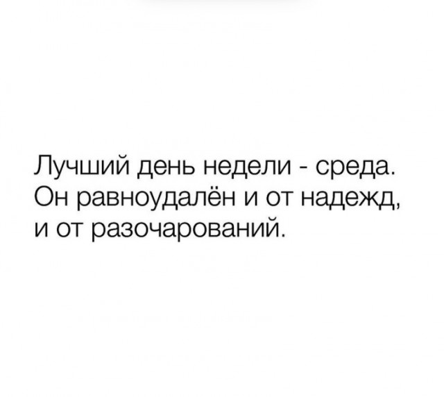 15408029.jpg