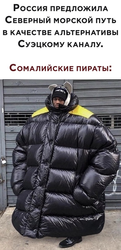 15398050.jpg