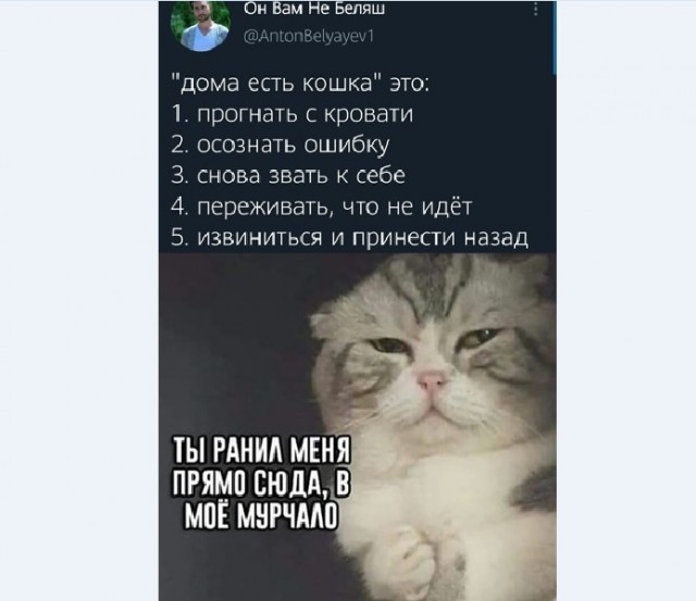 15289860.jpg